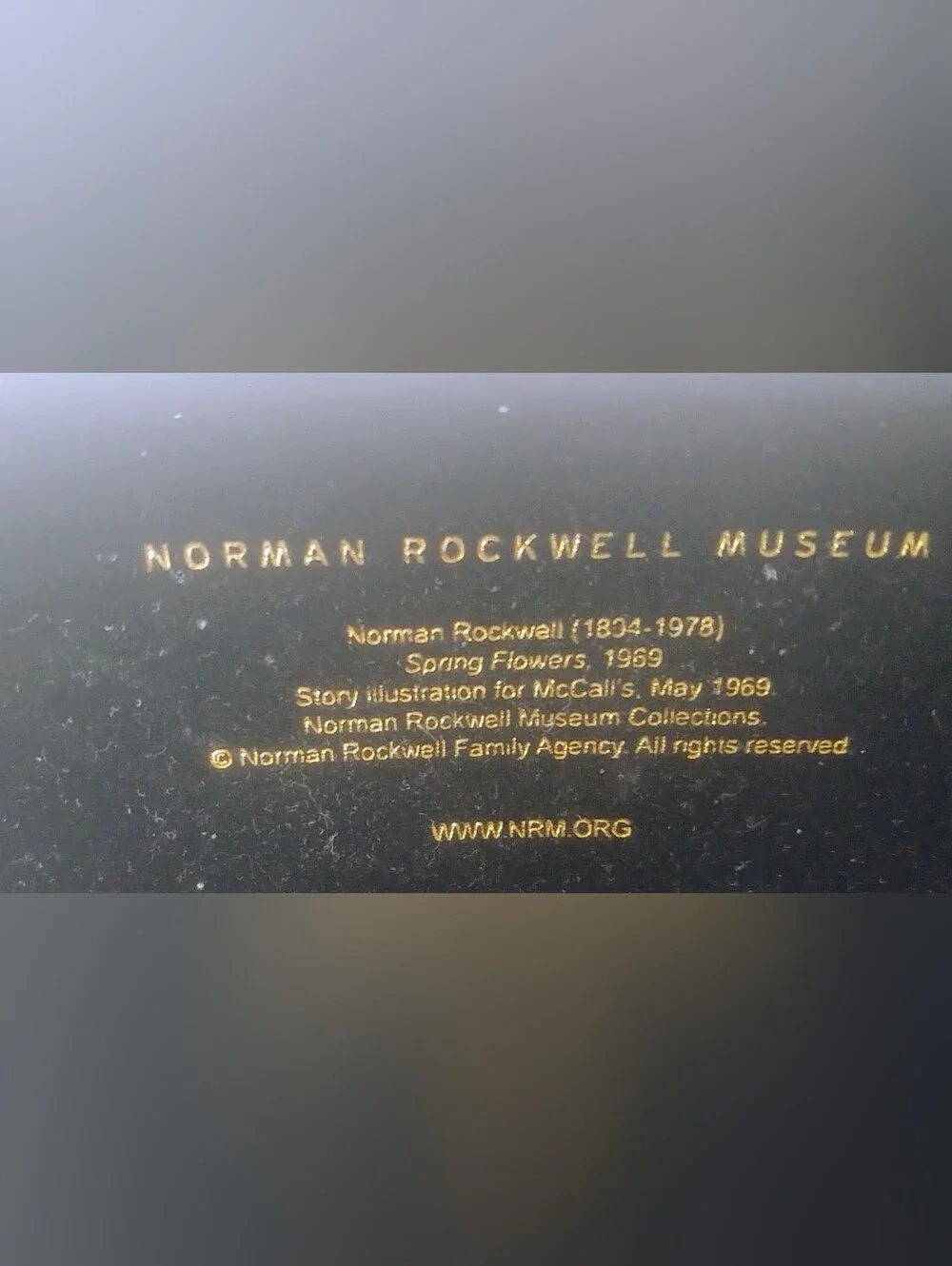 Norman Rockwell Gold Lettering on Black Surface Hard Eye Glass/sunglass Case